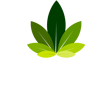 La Ceiba Residencial